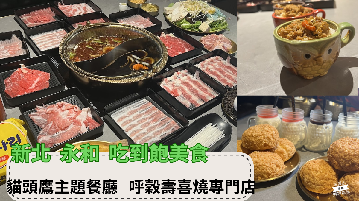 新北 永和 吃到飽美食貓頭鷹主題餐廳 呼穀壽喜燒專門店